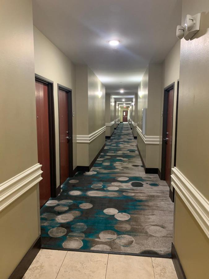 Rodeway Inn & Suites Winnfield Exterior photo